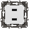 Розетка 2хUSB type A без рамки Эра Эра Elegance 14-4110-01 100_100_2400869