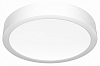 Накладной светильник Citilux Галс CL5516N 100_100_3147863