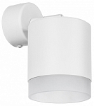 Спот Lightstar Rullo RBX348680 250_100_1721266