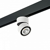 Светильник на штанге Lightstar Forte Muro PRO213816 100_100_2470993
