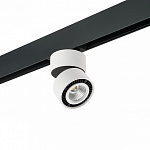 Светильник на штанге Lightstar Forte Muro PRO213816 250_100_Array