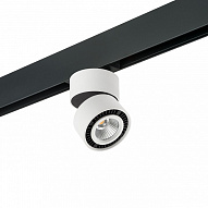 Светильник на штанге Lightstar Forte Muro PRO213816 500_191_2470993