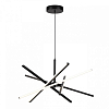 Подвесная люстра Lumion Parker 6563/60L 100_100_1864275
