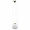 Подвесной светильник Lightstar Globo 813031 100_100_1714880