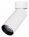 Светильник на штанге Arlight GABI 052347 250_100_Array