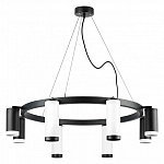 Подвесная люстра Lightstar Rullo LR01886437467 250_100_1718600