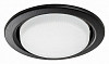 Встраиваемый светильник Lightstar Tensio 212117 100_100_3155429