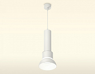 Подвесной светильник Ambrella Light XP XP8110006 250_100_2020676