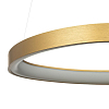 Подвесной светильник Citilux GENKA SMART CL756A042 100_100_3084953
