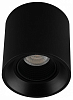 Накладной светильник Denkirs DK3040 DK3090-BK 100_100_2445189