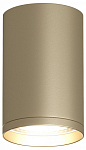 Накладной светильник Denkirs TUBE DK2050-SG 250_100_1913644