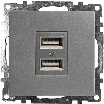 Розетка USB type A без рамки Stekker Катрин 39588 400_400_2158298