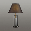Настольная лампа декоративная Lumion Fletcher 5290/1T 100_100_1863391