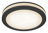 Накладной светильник Maytoni Technical Phanton DL303-L12B4K 100_100_3234242