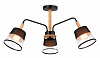Люстра на штанге Ambrella Light TR TR4740 100_100_2421865