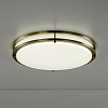 Накладной светильник Citilux Бостон CL709503N 100_100_2630685