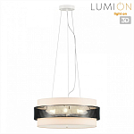 Накладной светильник Lumion Animaisa 8002/6C 250_100_3155136