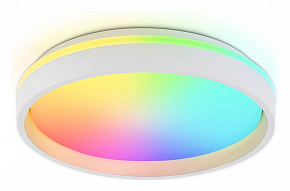 Накладной светильник Ambrella Light FZ FZ601 500_191_2442165