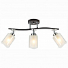 Спот Citilux Фортуна CL156132 100_100_2227397