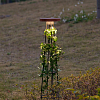 Наземный высокий светильник Odeon Light LIANA 7108/15GLA 100_100_1732351