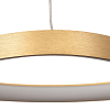 Подвесной светильник Citilux GENKA SMART CL756A042 100_100_3084952
