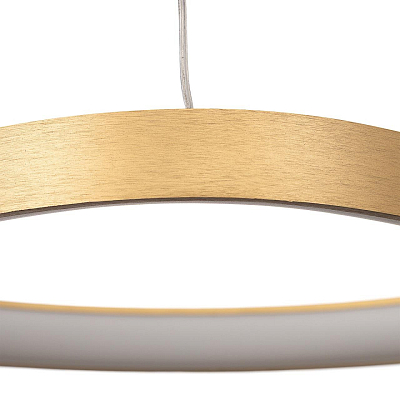 Подвесной светильник Citilux GENKA SMART CL756A042 400_400_3084952