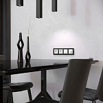 Рамка на 4 поста Werkel Platinum (черный алюминий) W0042608 250_100_2130286
