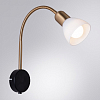 Бра Arte Lamp Falena A3116AP-1BK 100_100_610991
