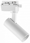Светильник на штанге Lightstar Volta 227246 250_100_1714111