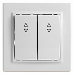 Переключатель двухклавишный Stekker Эрна 39919 250_100_Array