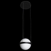 Подвесной светильник Loft it Jardin 10121/A 100_100_1848017