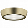 Накладной светильник Lightstar Urbano 214914 100_100_2448508