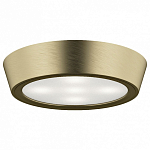 Накладной светильник Lightstar Urbano 214914 250_100_Array