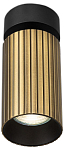 Накладной светильник Citilux AXEL CL512213R 250_100_3079513