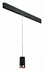 Подвесной светильник Lightstar Rullo PRORP437430 100_100_2460395