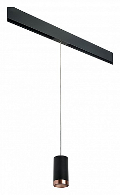 Подвесной светильник Lightstar Rullo PRORP437430 400_400_2460395