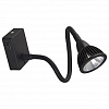Бра Arte Lamp Cercare A4107AP-1BK 100_100_2249072