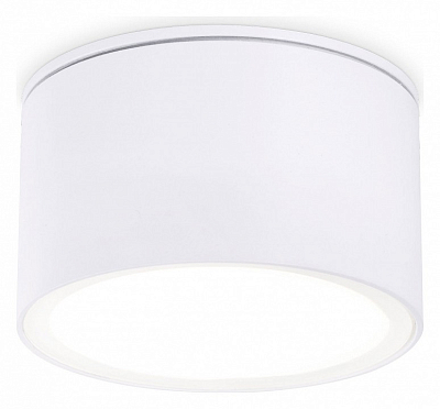 Накладной светильник Ambrella Light TN TN6522 400_400_2442382