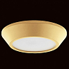 Накладной светильник Lightstar Urbano mini 214732 100_100_1717824