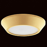 Накладной светильник Lightstar Urbano mini 214732 250_100_1717824