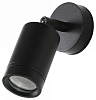 Светильник на штанге Favourite Pharus 2892-1W 100_100_2470344