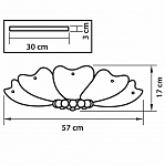 Накладной светильник Lightstar Lobo 804020 250_100_1713700