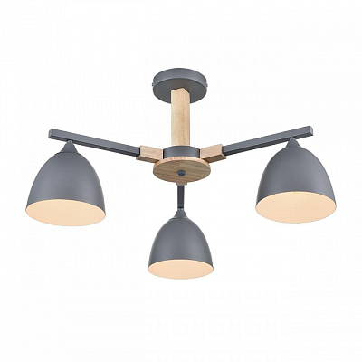 Люстра на штанге Lumion Colange 8096/3C 400_400_1864950