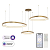 Подвесной светильник Citilux GENKA SMART CL756A092 100_100_3098304