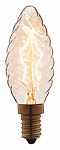 Лампа накаливания Loft it Edison Bulb E14 40Вт K 3540-LT 250_100_Array