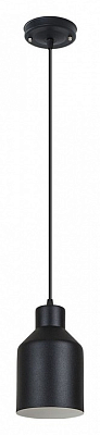 Подвесной светильник Arte Lamp Lark A7073SP-1BK 400_400_1826411