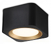 Накладной светильник Ambrella Light TN TN70832 100_100_2442401