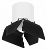Накладной светильник Lightstar Rullo R3486487 100_100_2448329