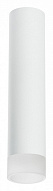 Накладной светильник Lightstar Rullo R49631 500_191_2448417