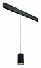 Подвесной светильник Lightstar Rullo PRORP43740 100_100_2460394